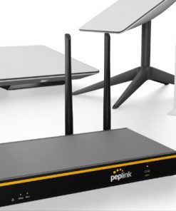 Router cân tải Peplink B One